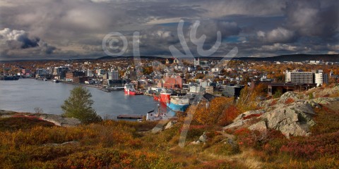 St. John's Harbour in autumn